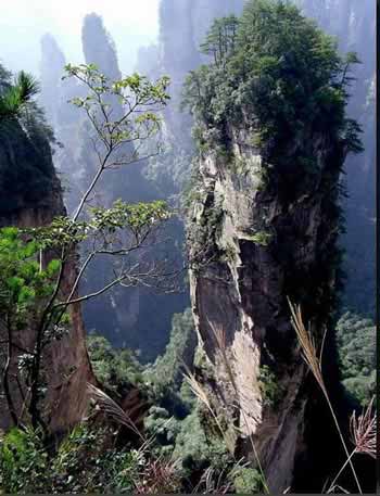 長沙出發(fā)到張家界溶洞奇觀黃龍洞、國家森林公園、袁家界、峰林之王天子山三日游（早班）