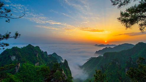 張家界森林公園（金鞭溪、袁家界、楊家界、天子山、十里畫廊）住山上2天1游（可看日出）